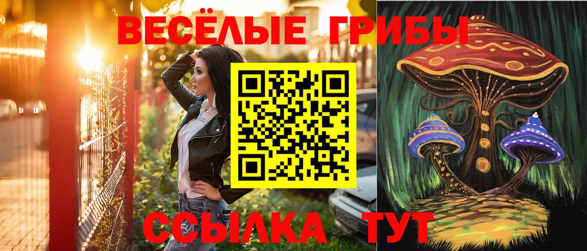 Псилоцибиновые грибы прущие грибы  купить   Кемерово  Вход с VPN 